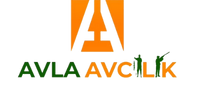 Avla Avcılık